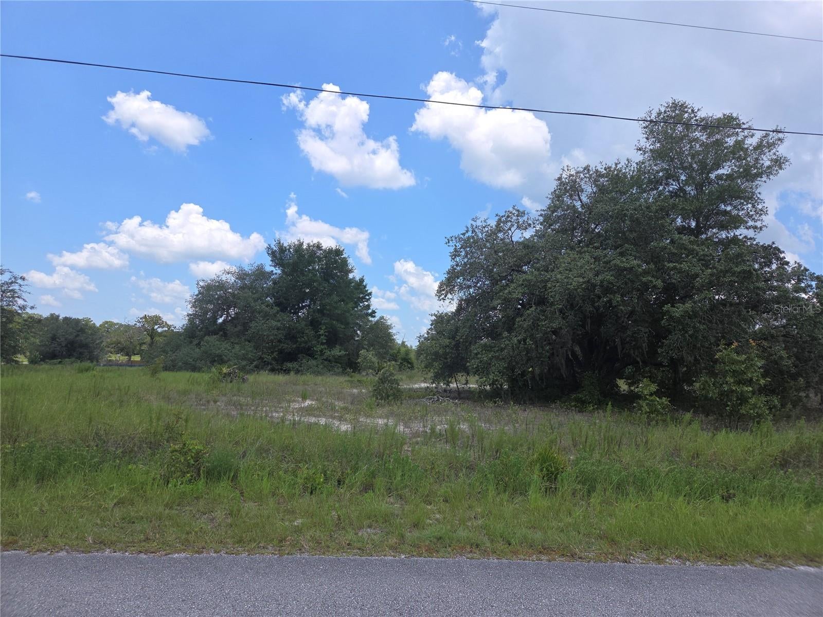 14 SW Viola Ct #LOT, Dunnellon, FL 34431 photo