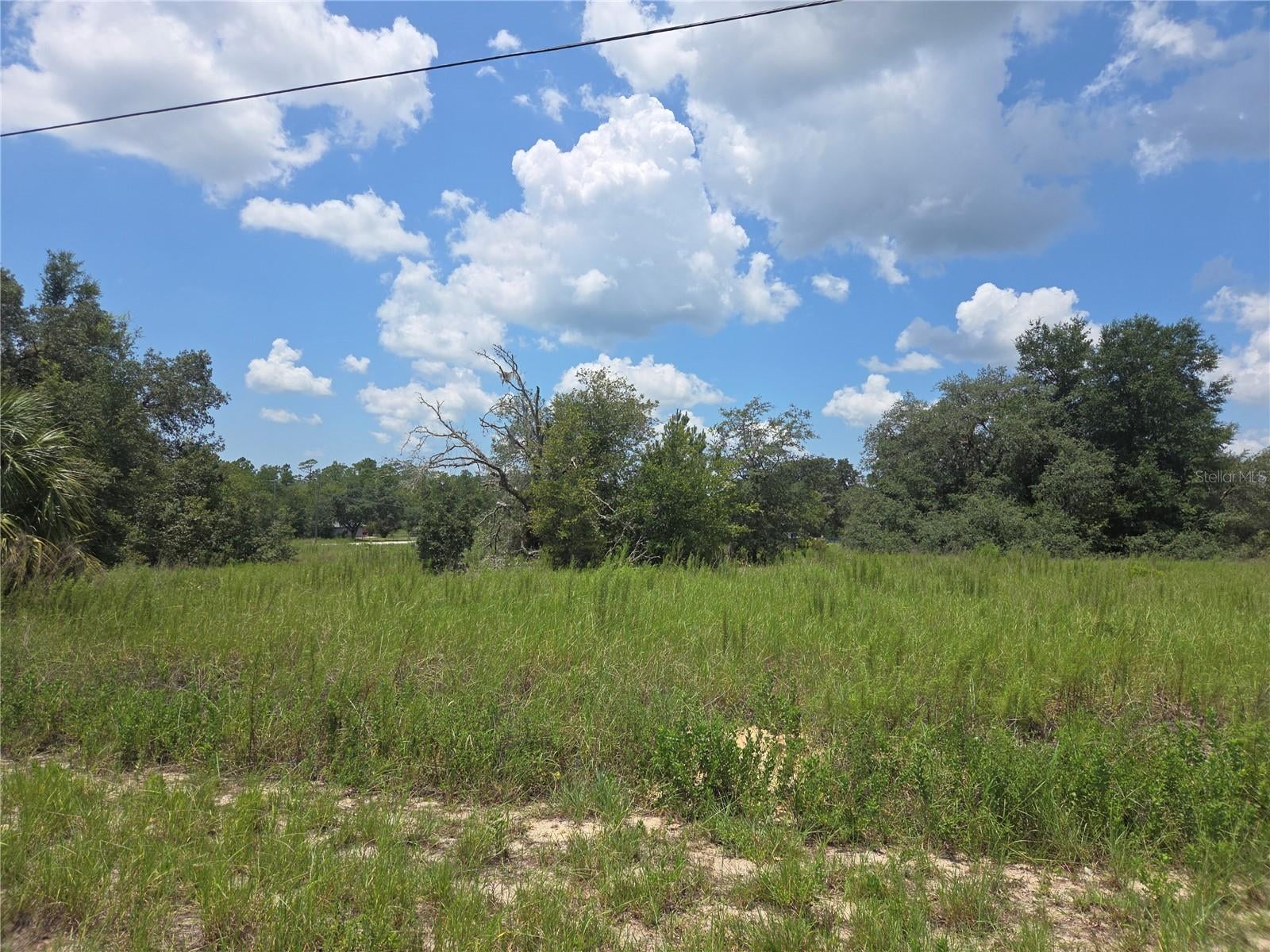 14 SW Viola Ct #LOT, Dunnellon, FL 34431 photo