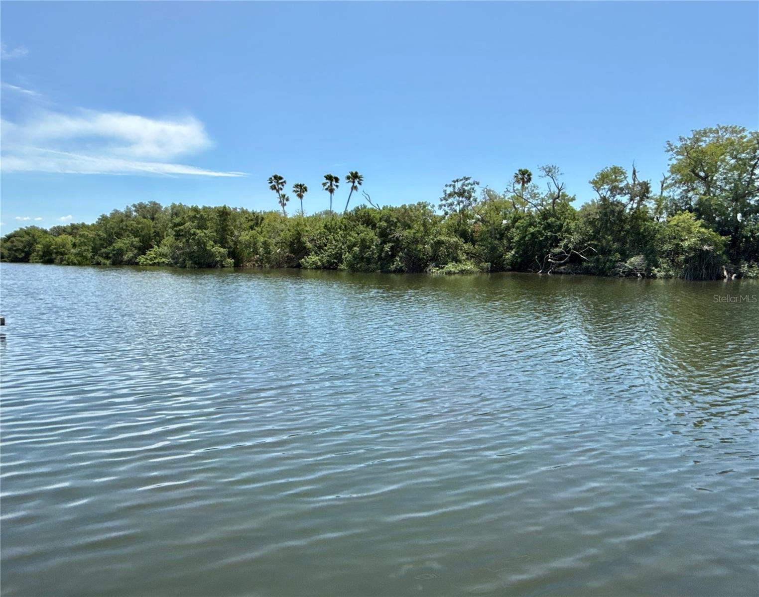 460 Mount Oak Ave, Saint Petersburg, FL 33702