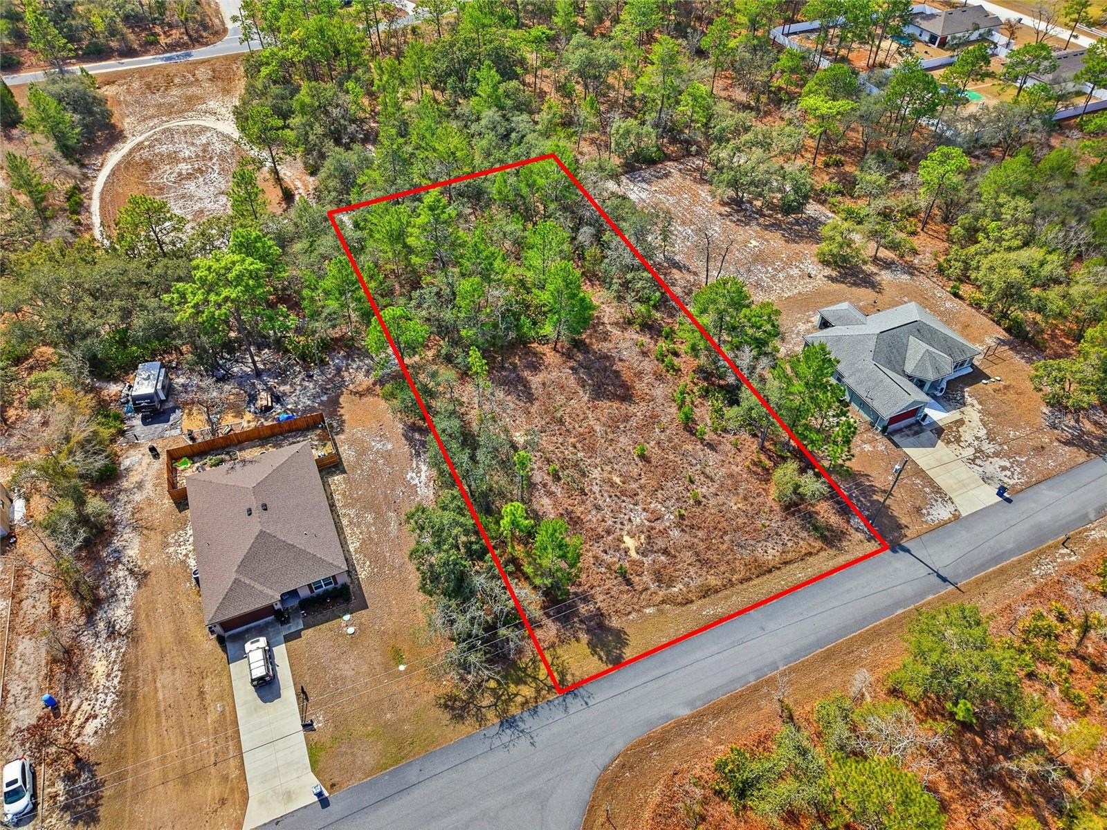 11263 Mexican Canary Ave, Weeki Wachee, FL 34614 photo