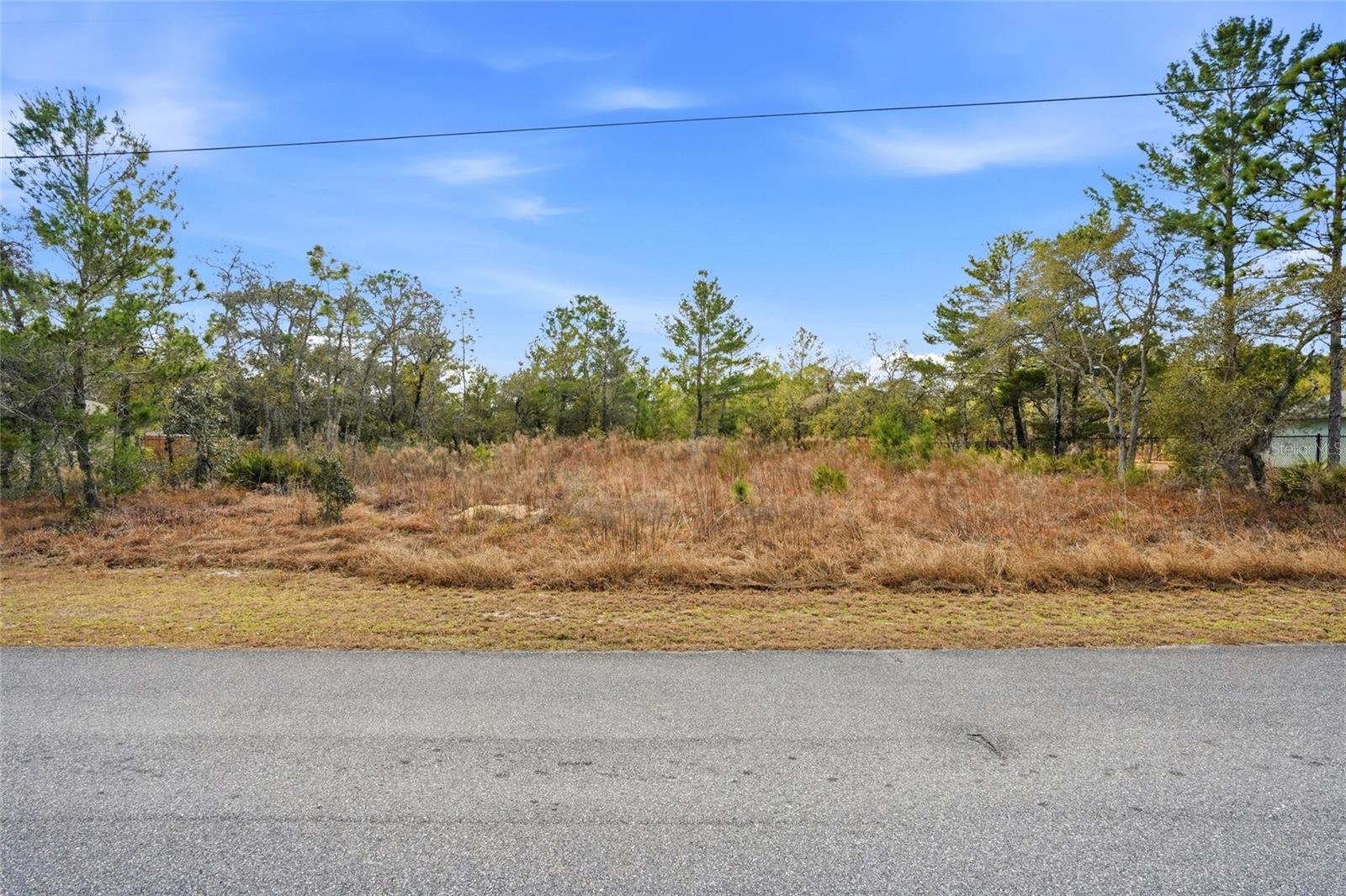 11263 Mexican Canary Ave, Weeki Wachee, FL 34614 photo