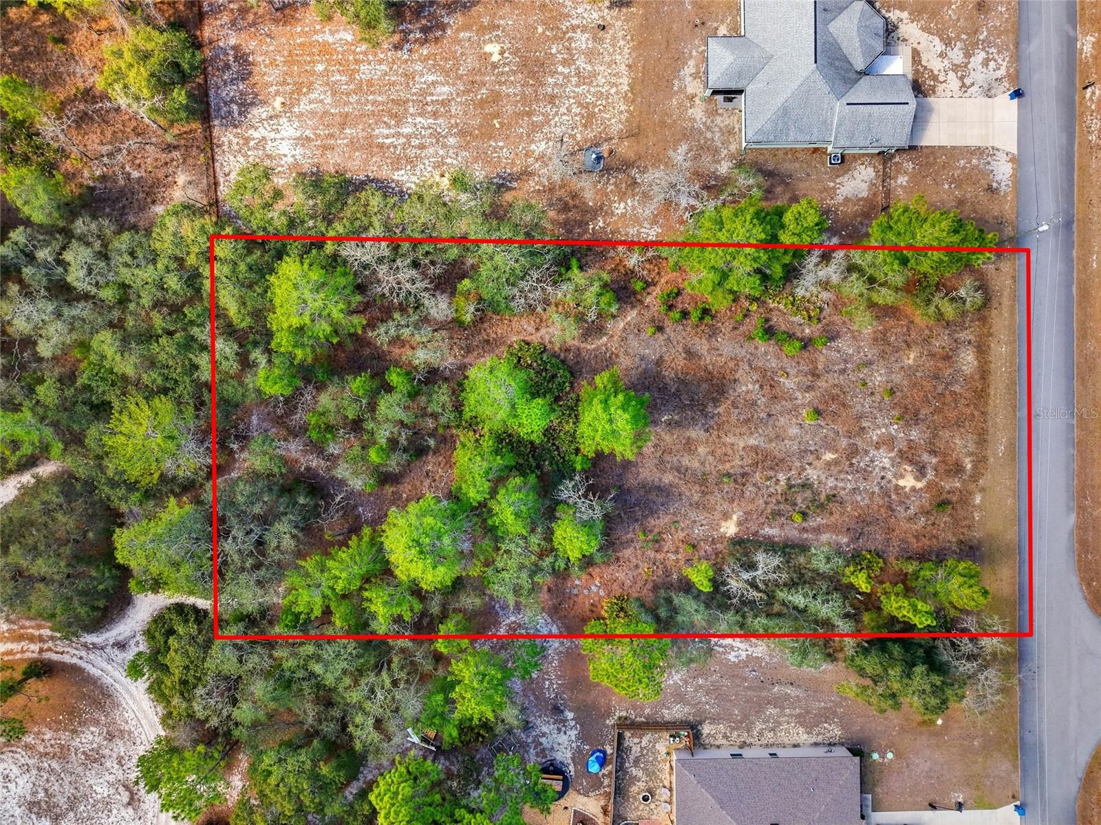 11263 Mexican Canary Ave, Weeki Wachee, FL 34614 photo