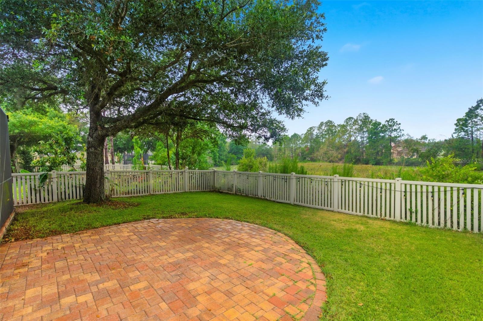 21347 Morning Mist Way, Land O Lakes, FL 34637 photo