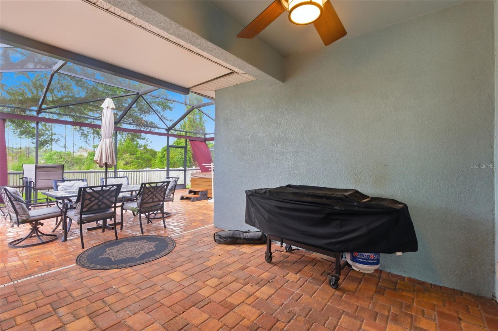 21347 Morning Mist Way, Land O Lakes, FL 34637 photo