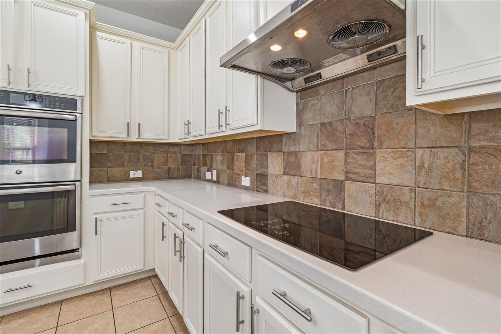 8523 Northton Groves Blvd, Odessa, FL 33556 photo