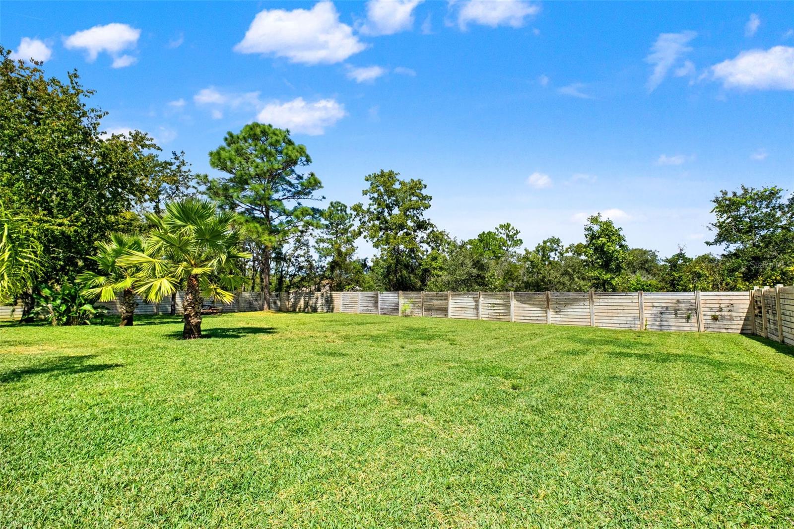 13049 Maycrest Ave, Weeki Wachee, FL 34614 photo
