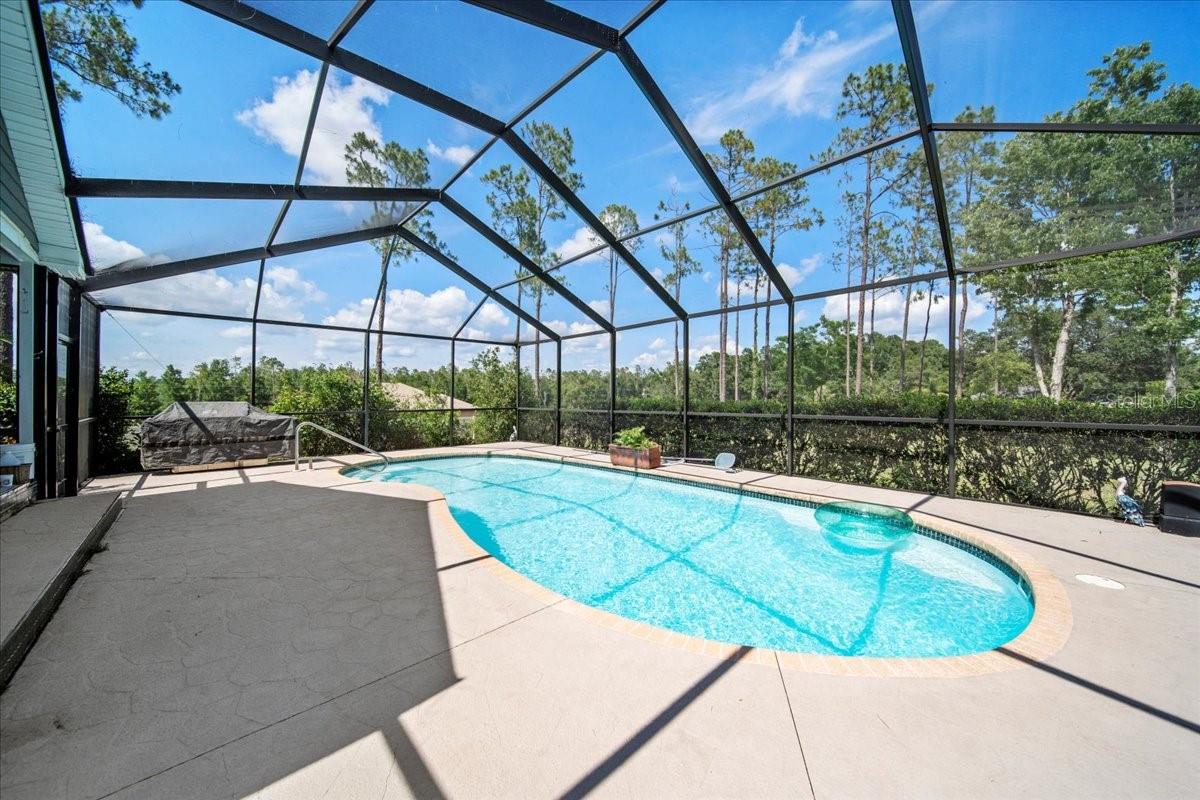 Single Family Residence in DADE CITY FL 9912 PINE LEAF LANE 35.jpg