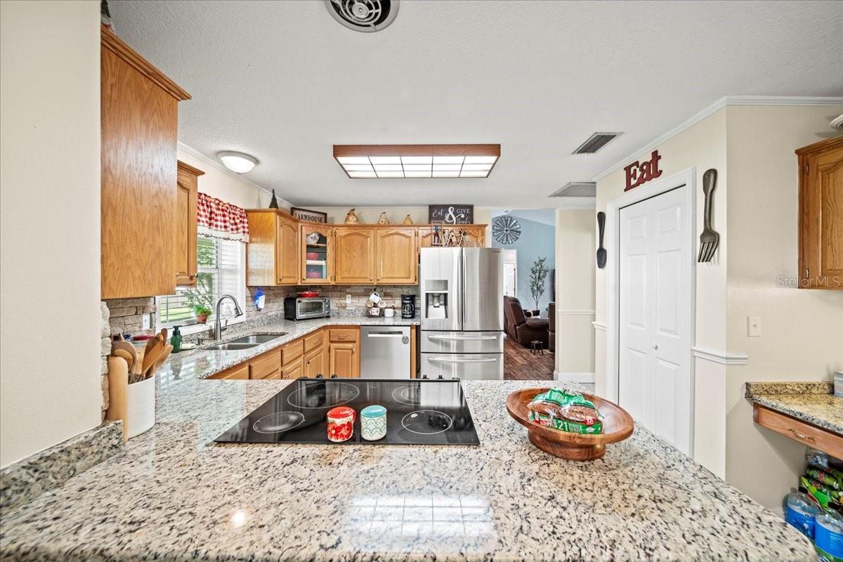 Single Family Residence in DADE CITY FL 9912 PINE LEAF LANE 17.jpg