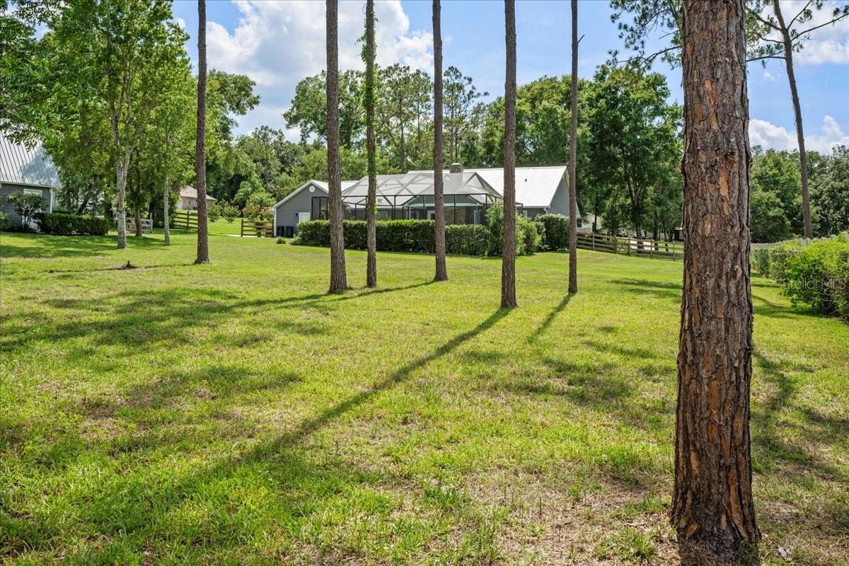 Single Family Residence in DADE CITY FL 9912 PINE LEAF LANE 52.jpg