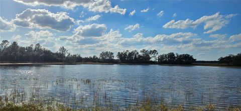  in CITRA FL Lot 4 - 12.38ac E HWY 318.jpg