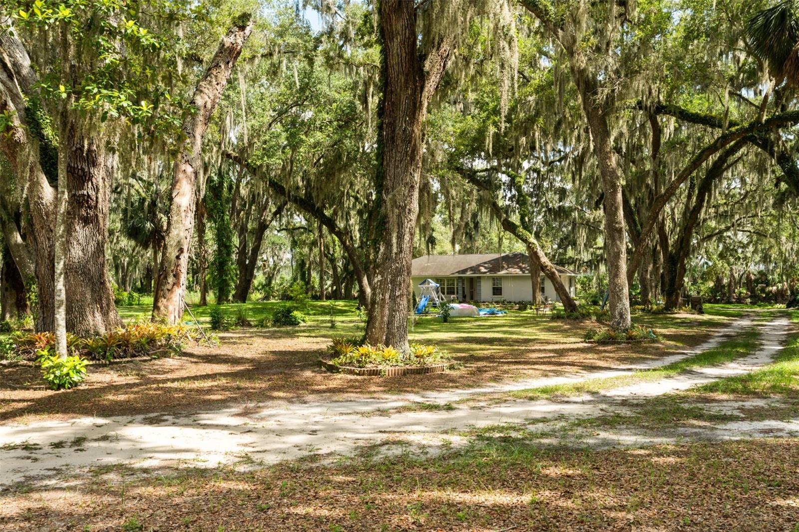 7938 Jacksons River Rd, Leesburg, FL 34788 photo