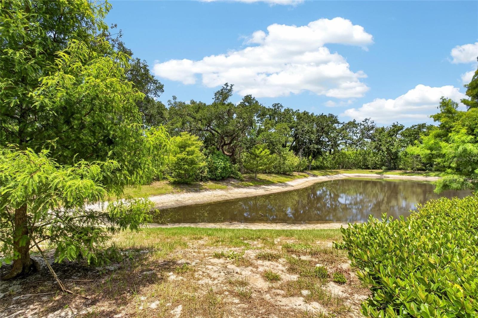 2911 Jacob Crossing Ln, Holiday, FL 34691 photo