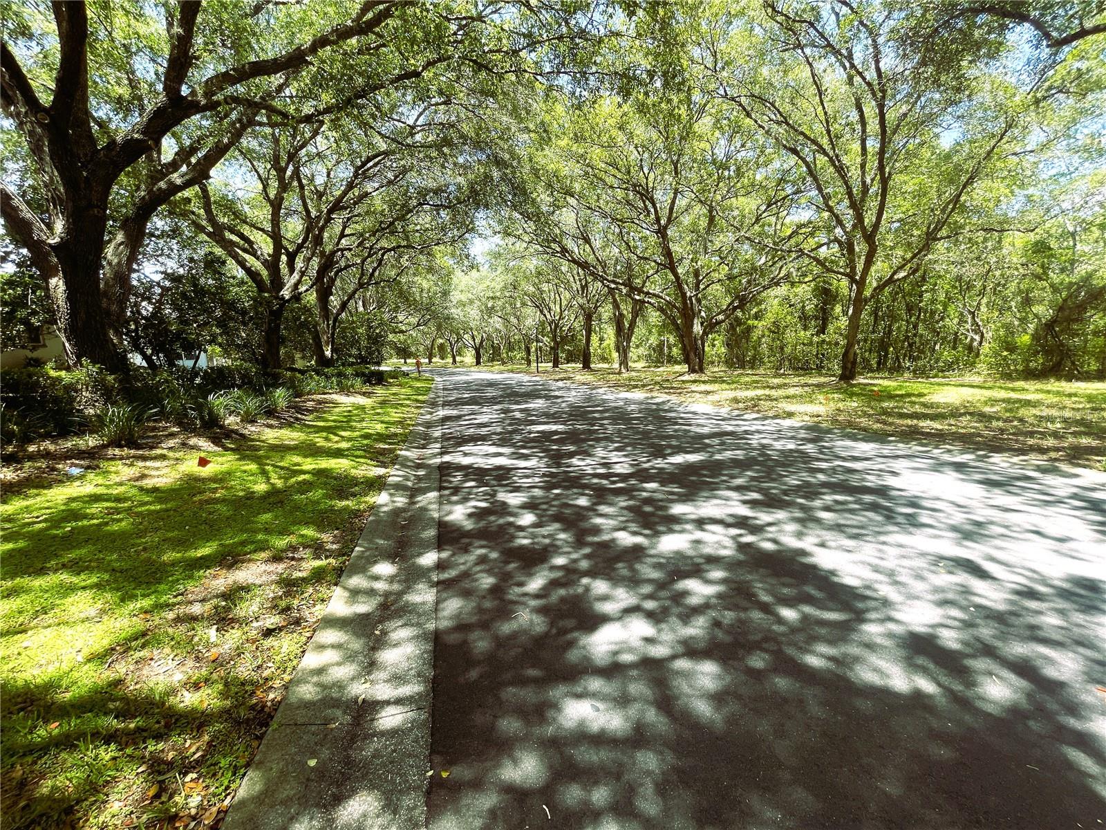 521 W Hillwood Path, Beverly Hills, FL 34465 photo