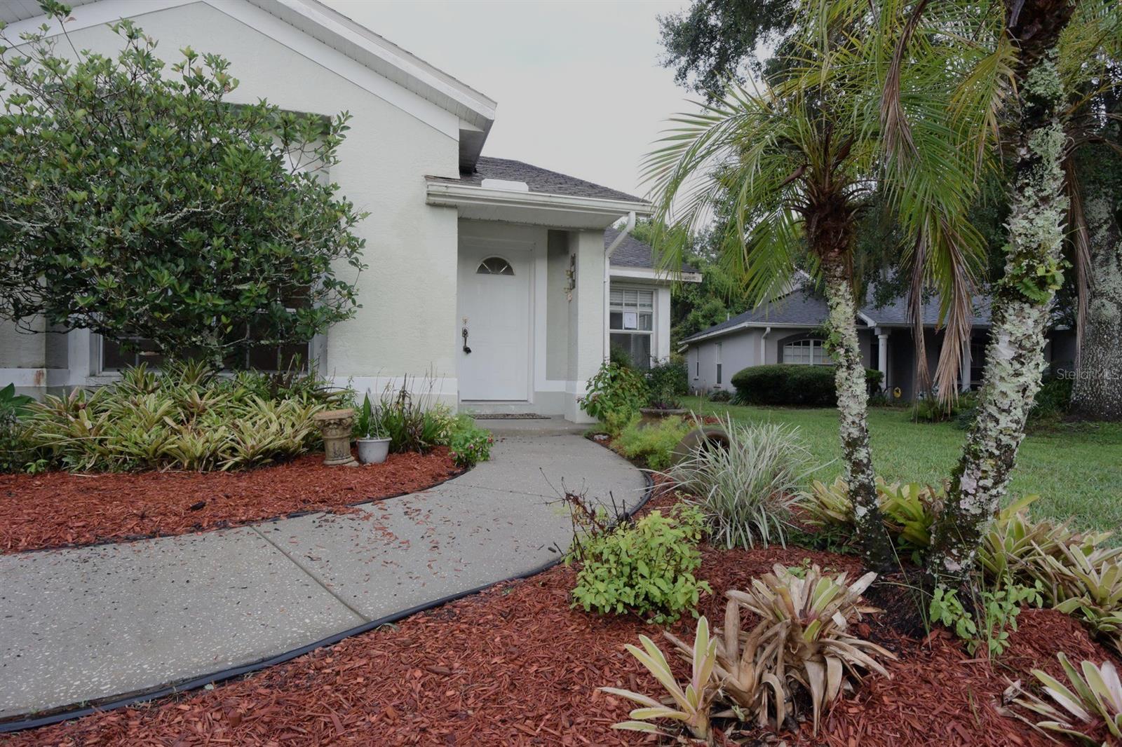 24449 Painter Dr, Land O Lakes, FL 34639 photo