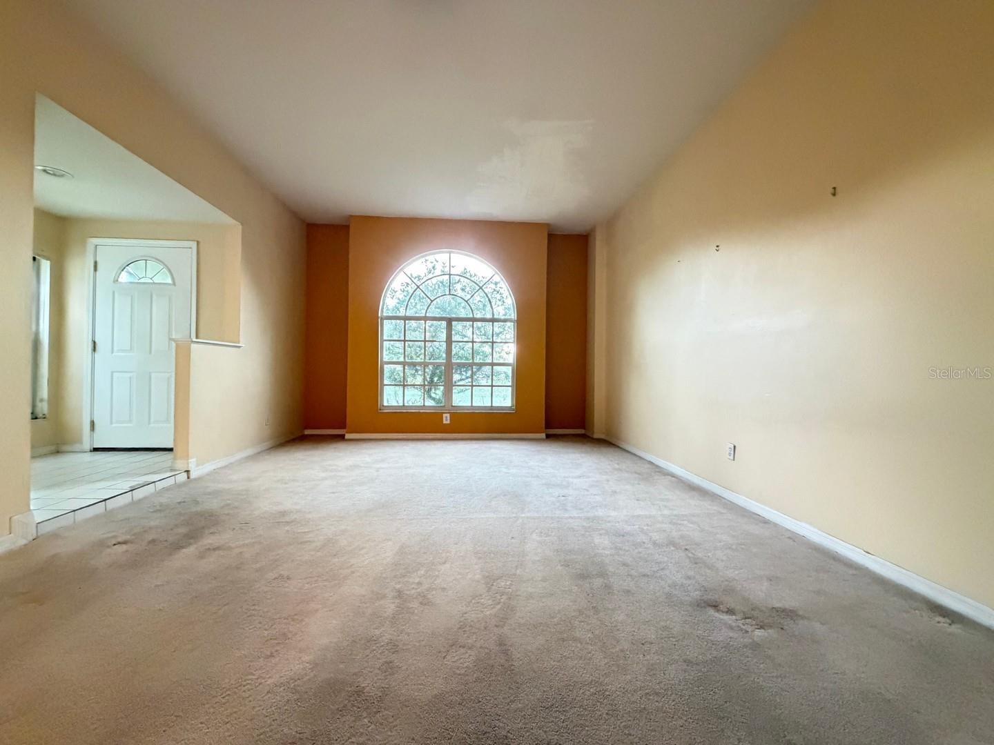 24449 Painter Dr, Land O Lakes, FL 34639 photo