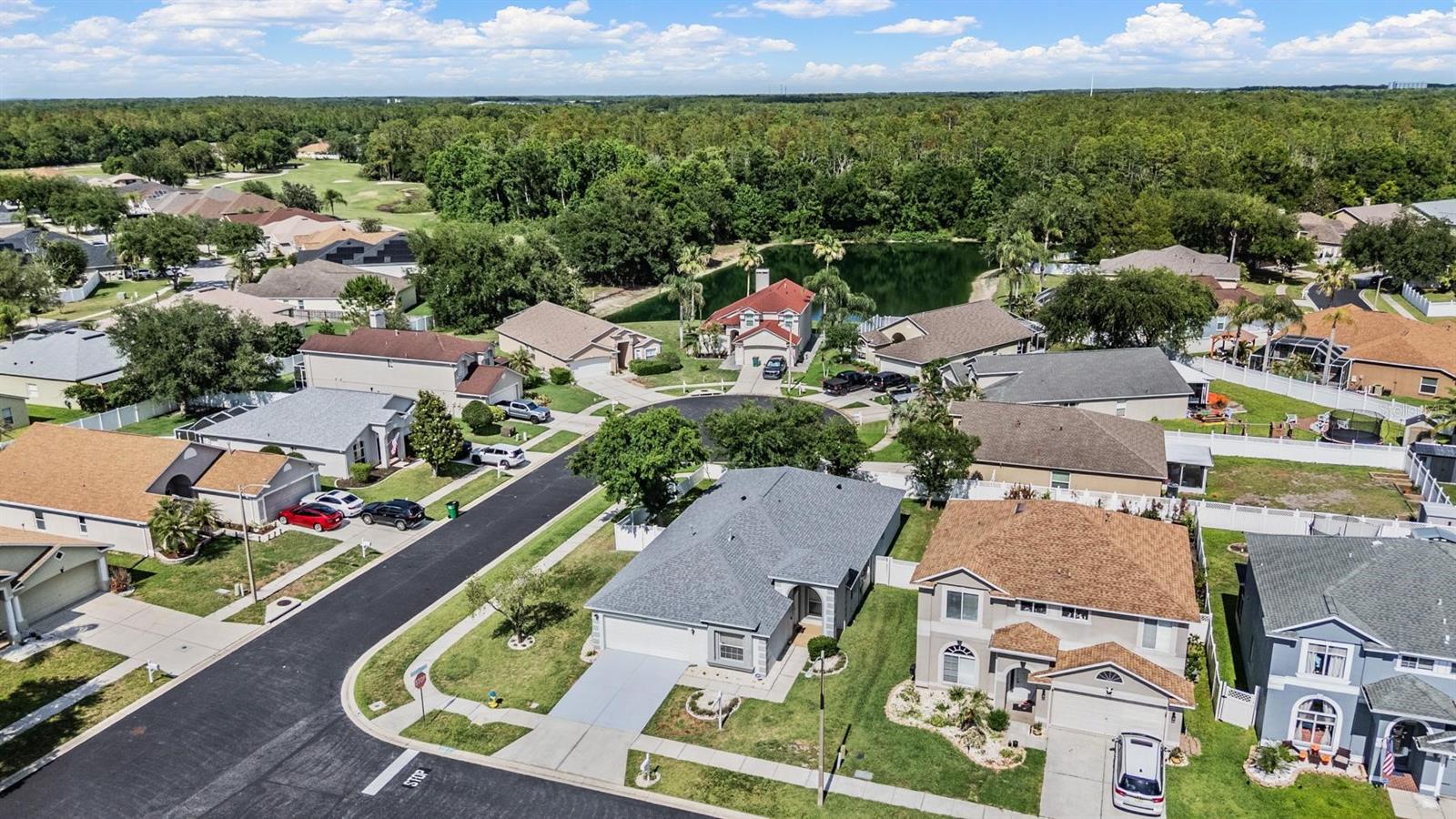 4940 Woodmere Rd, Land O Lakes, FL 34639 photo