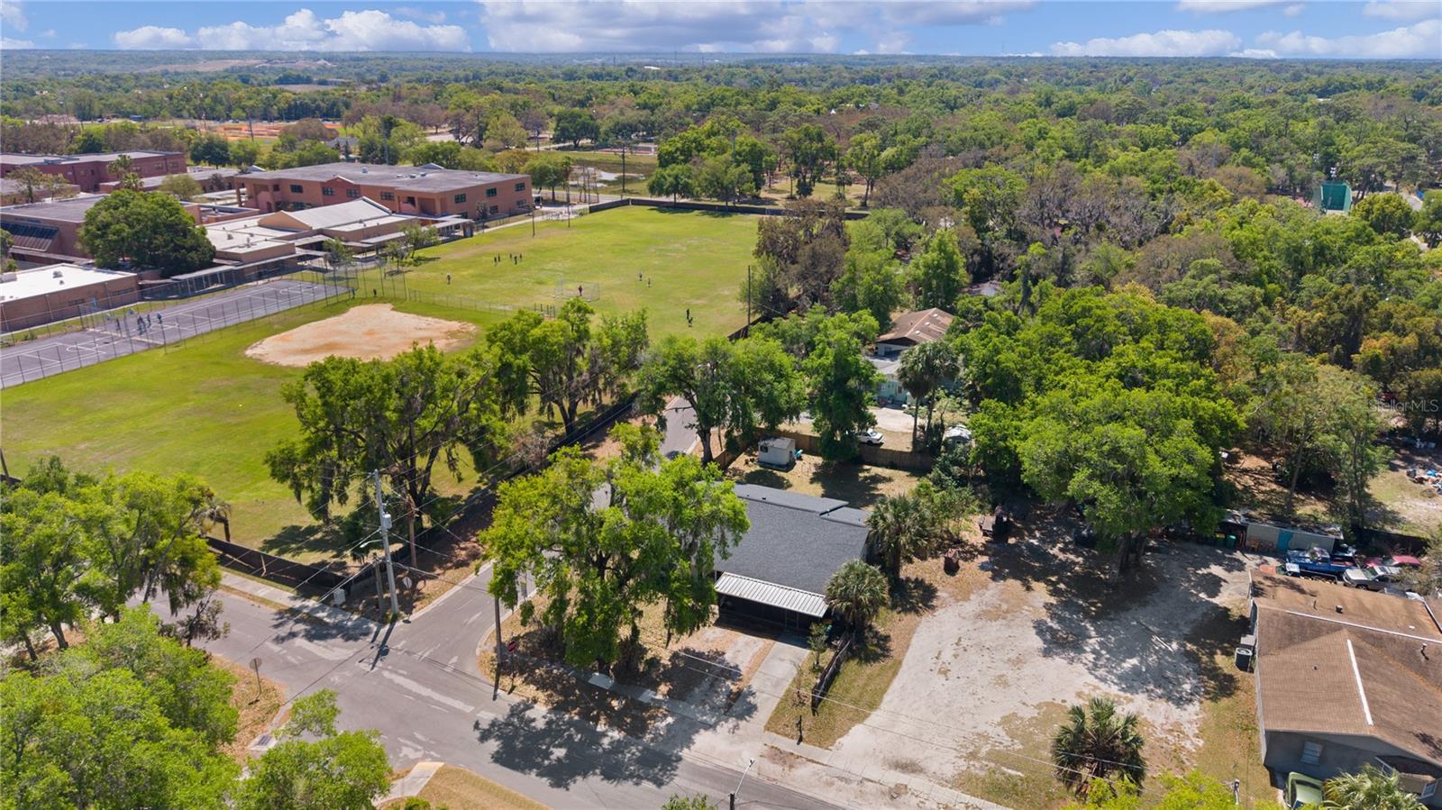 1124 N Grant Ave, Mount Dora, FL 32757 photo