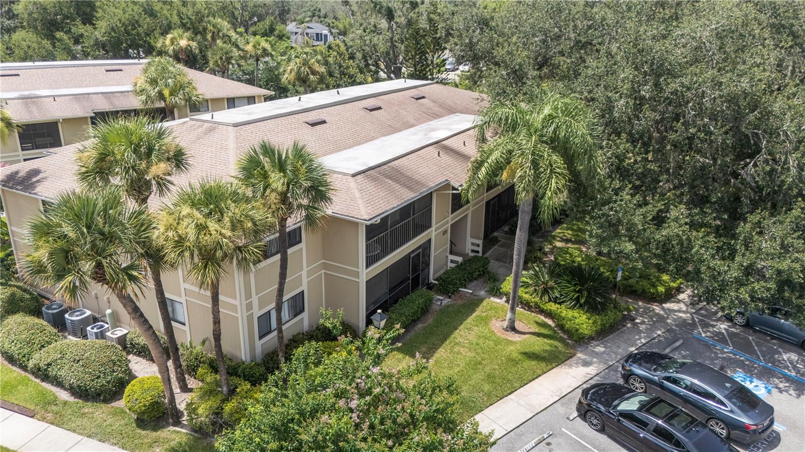 6018 Laktree Ln, Temple Terrace, FL 33617