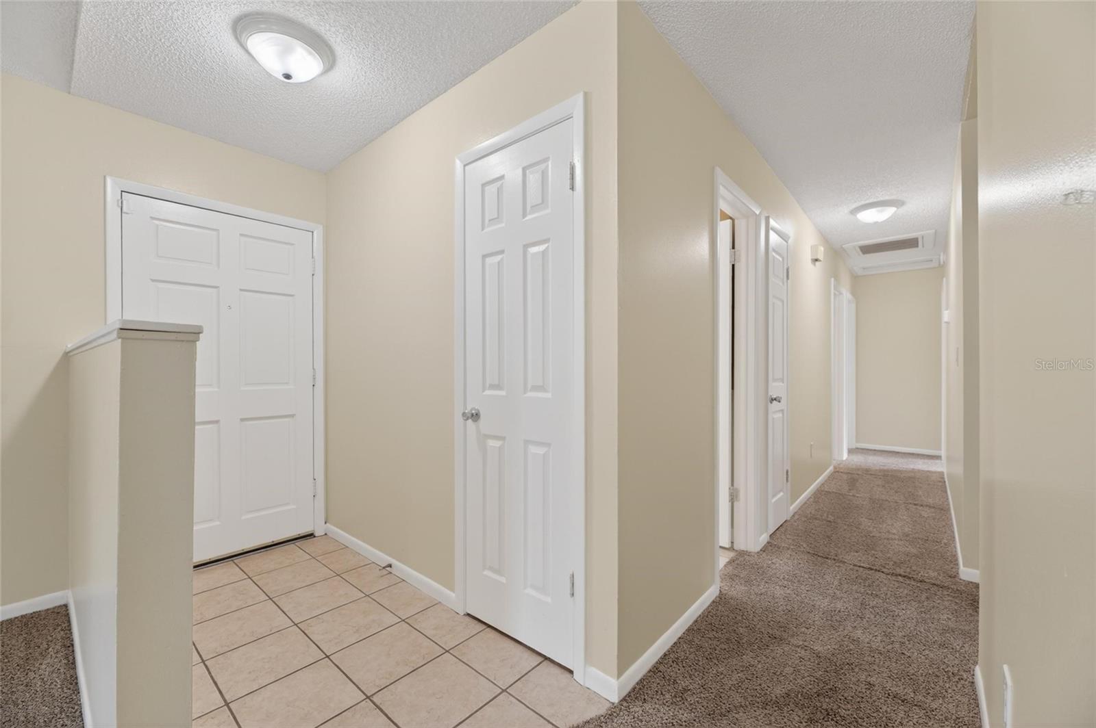 5001 Whiteway Dr, Tampa, FL 33617 photo