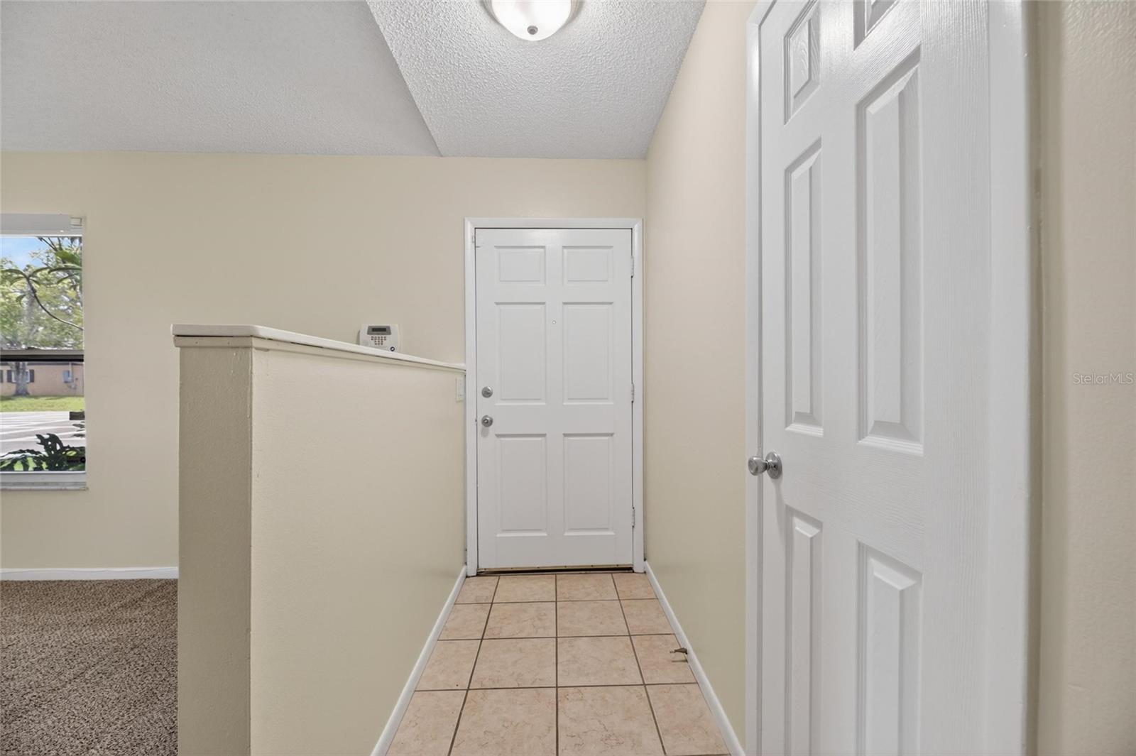 5001 Whiteway Dr, Tampa, FL 33617 photo