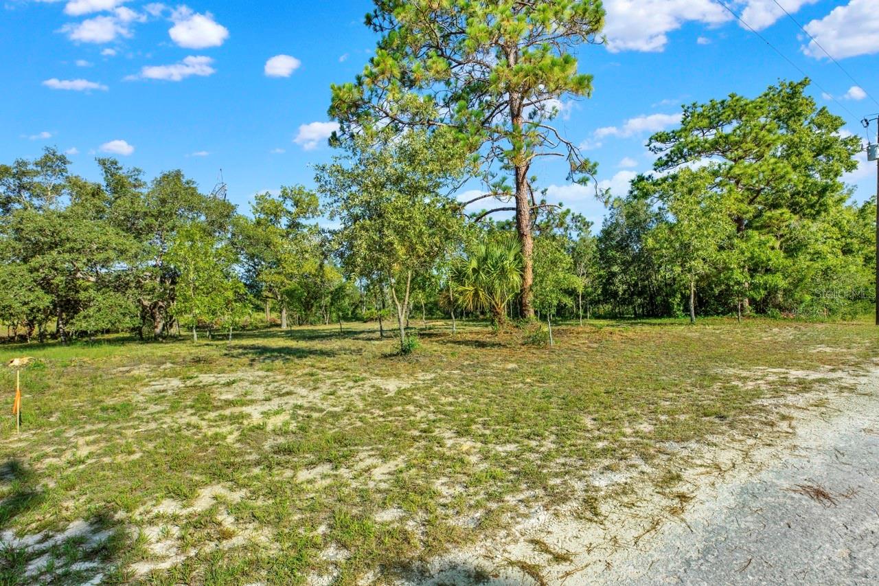 0 Condor Rd, Brooksville, FL 34614 photo