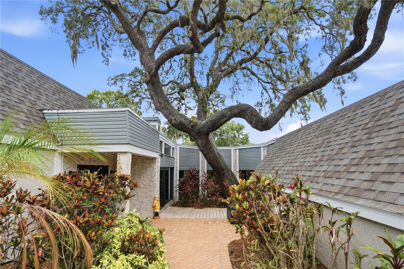 2860 Briarwood Ln, Palm Harbor, FL 34683 photo
