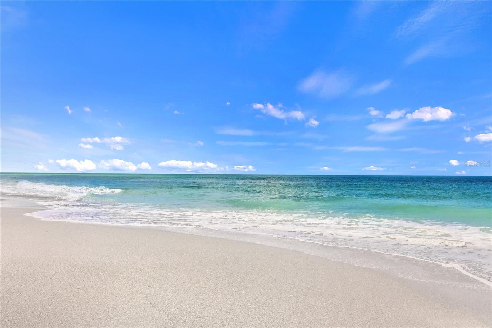 203 Casa De Lago Way #203, Venice, FL 34292 photo