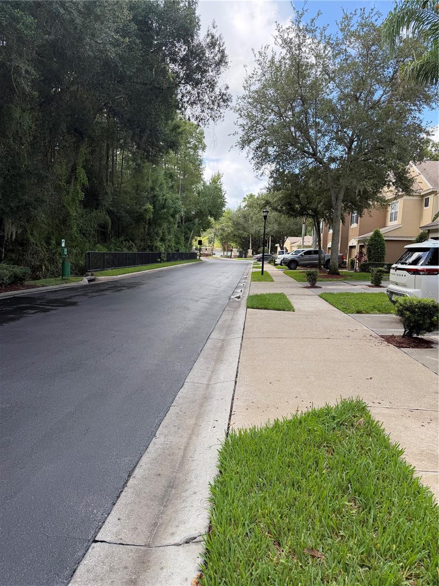 8428 Sandy Beach St, Tampa, FL 33634 photo