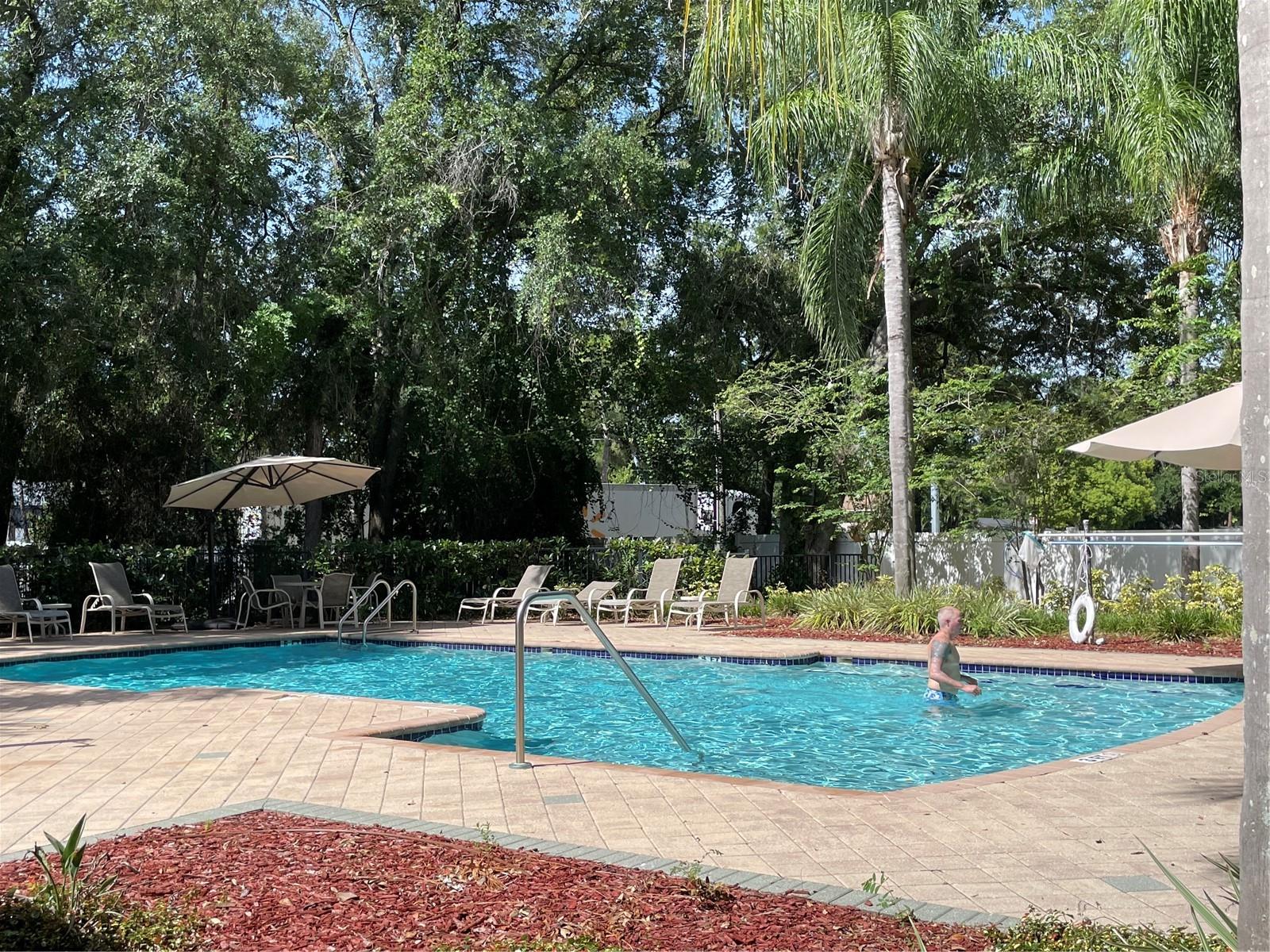 8428 Sandy Beach St, Tampa, FL 33634 photo