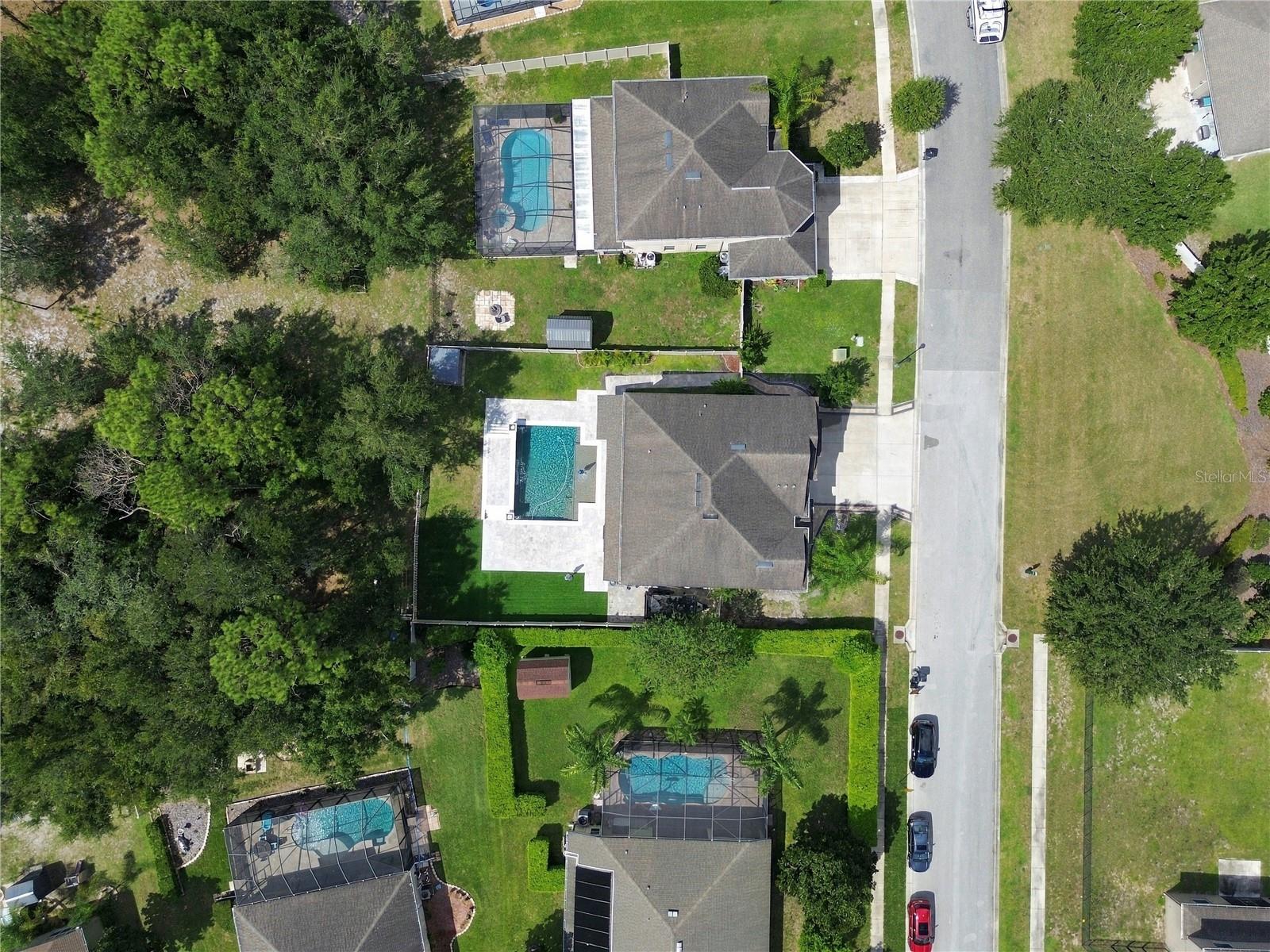 13856 Crest Lake Dr, Hudson, FL 34669 photo