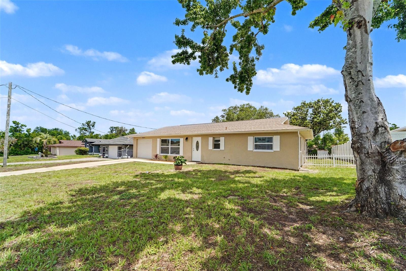 9371 Mallard St, Spring Hill, FL 34606 photo