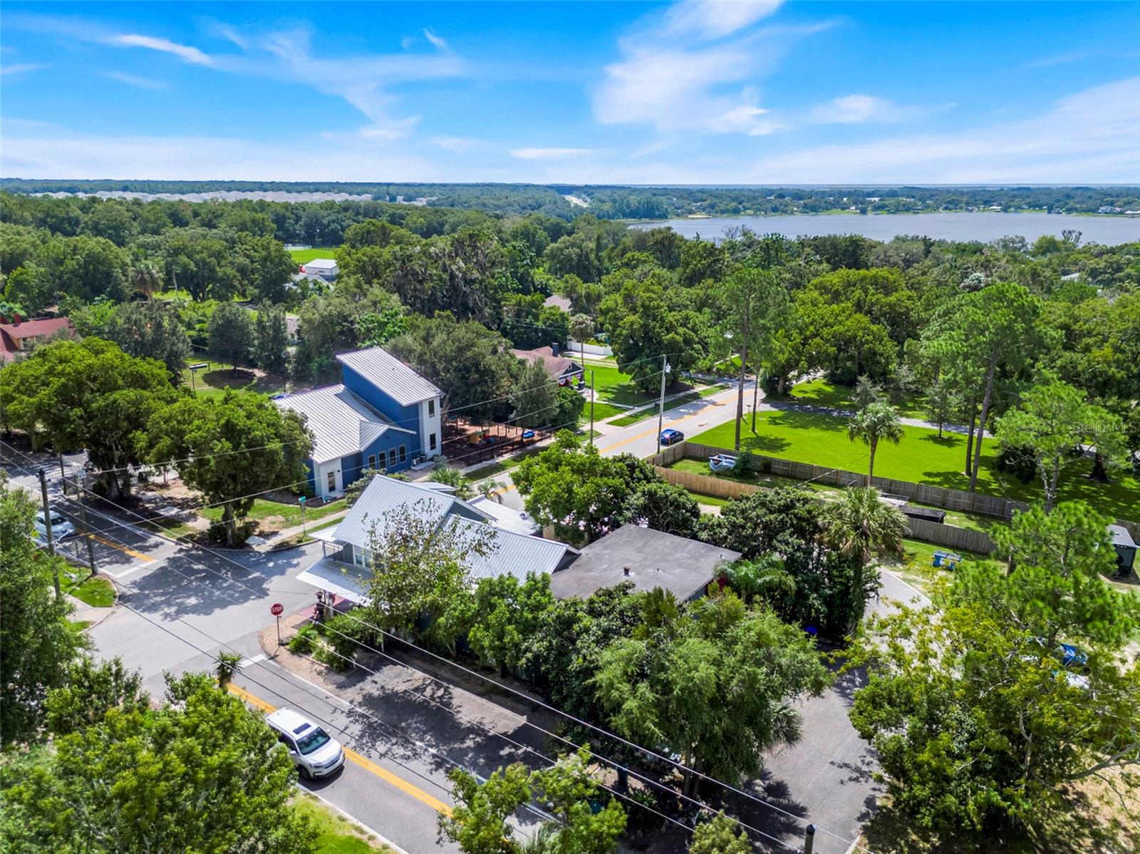7306 Earlwood Ave, Mount Dora, FL 32757 photo