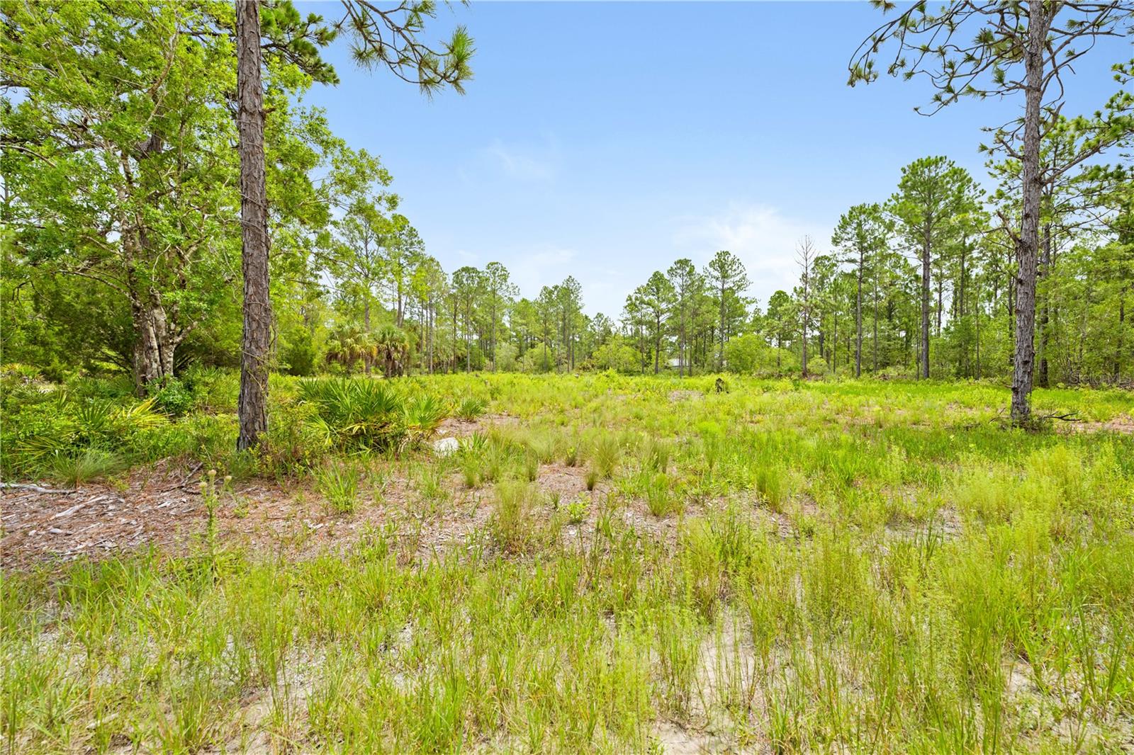 10052 Yellowbird Ave, Weeki Wachee, FL 34614