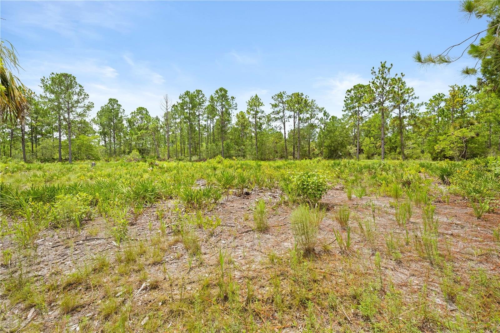 10052 Yellowbird Ave, Weeki Wachee, FL 34614 photo