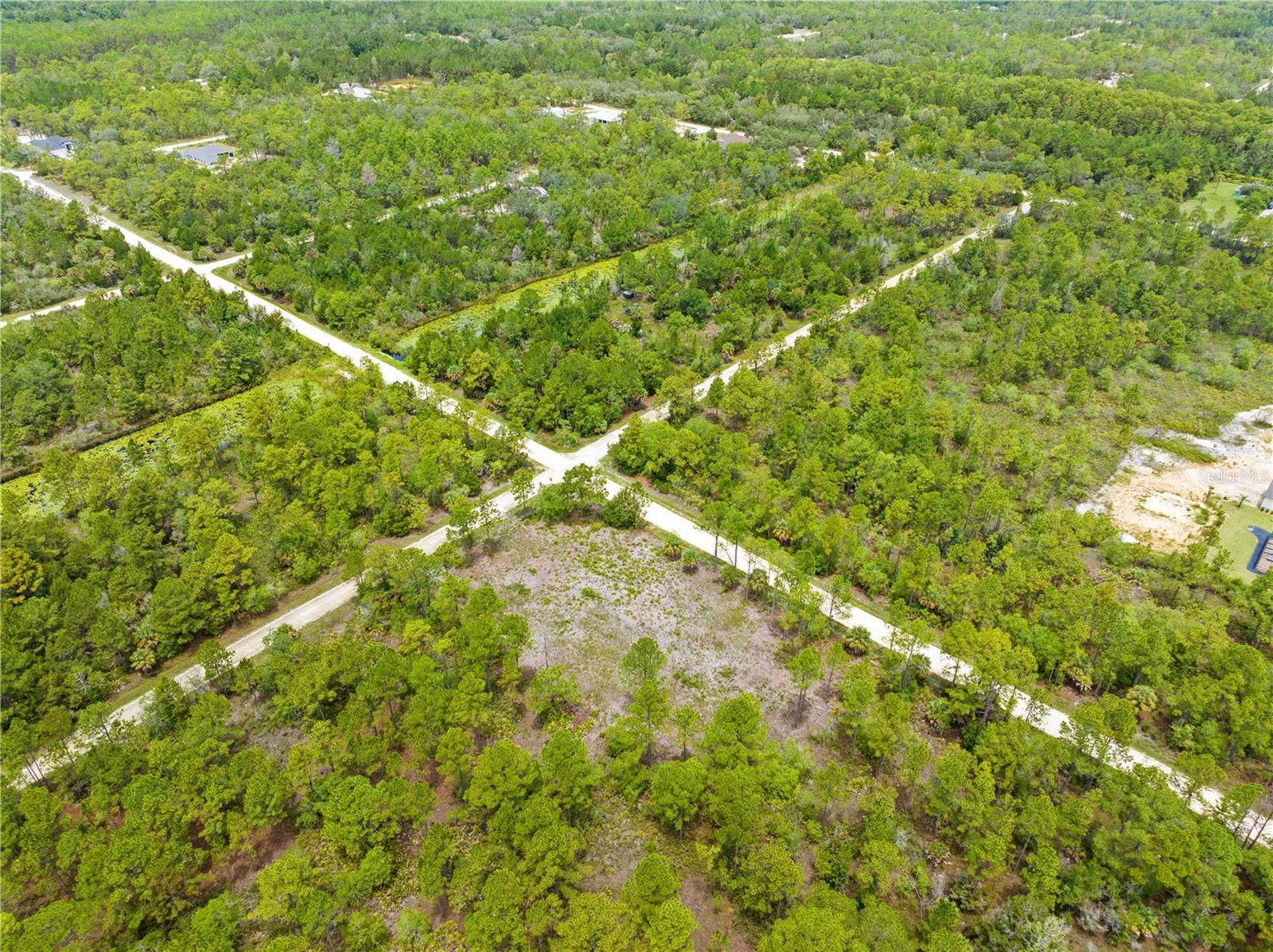 10052 Yellowbird Ave, Weeki Wachee, FL 34614 photo
