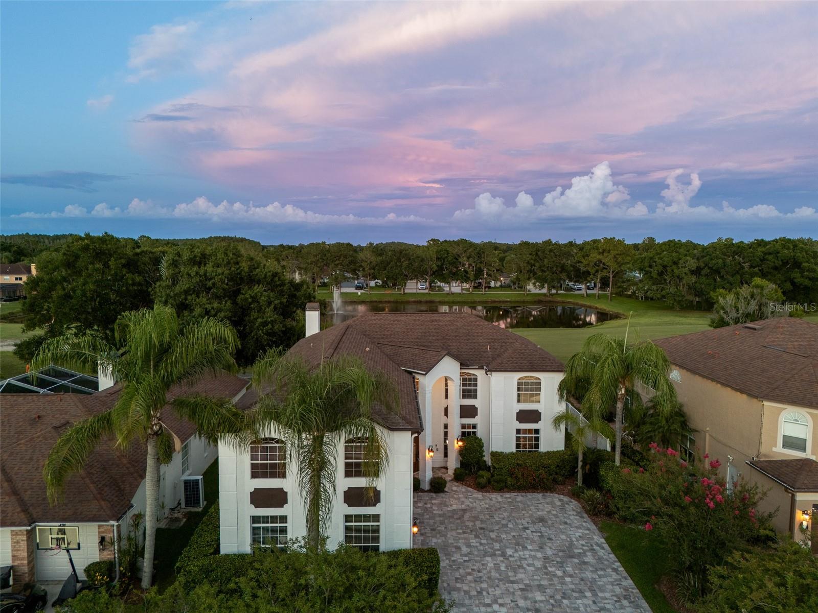 15615 Shoal Creek Pl, Odessa, FL 33556 photo