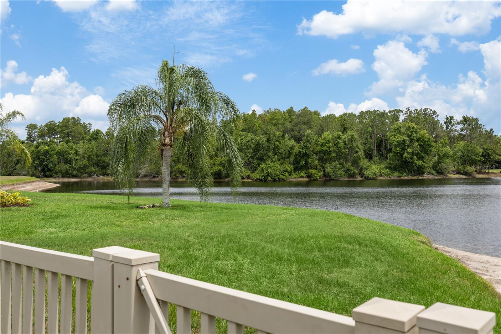 3015 Lynwood Ct, Land O Lakes, FL 34638 photo