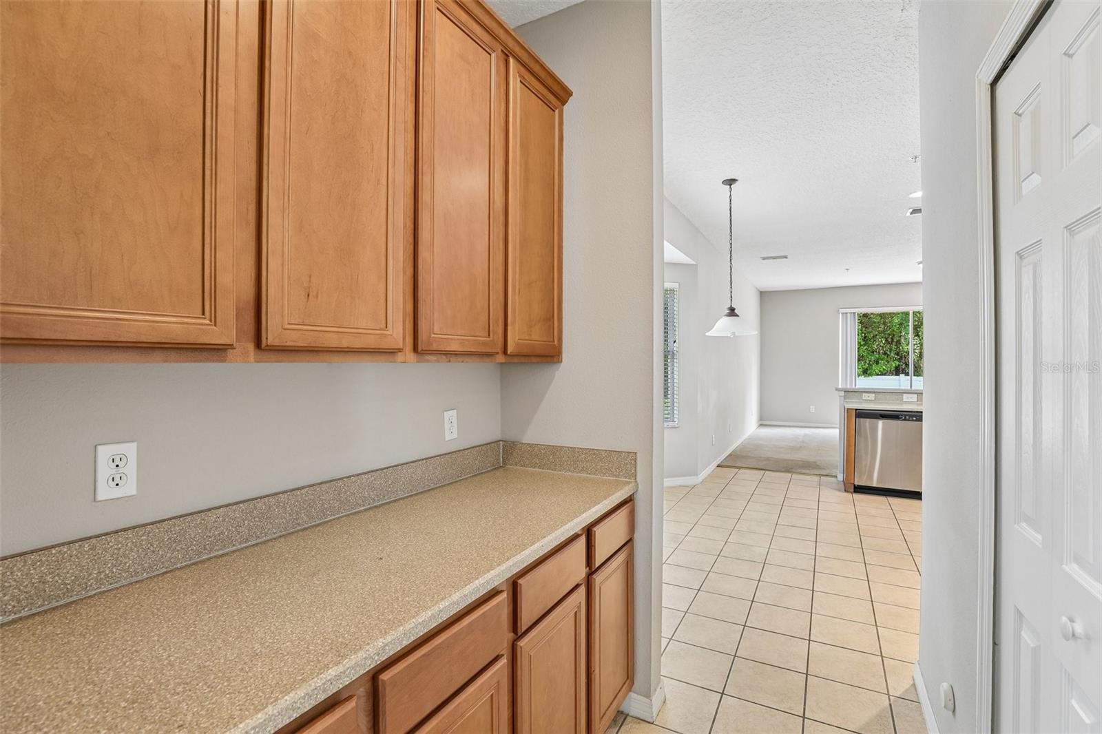 10411 Kristen Park Dr, Orlando, FL 32832 photo