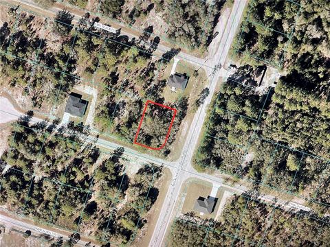  in OCKLAWAHA FL 63 MALAUKA LANE.jpg