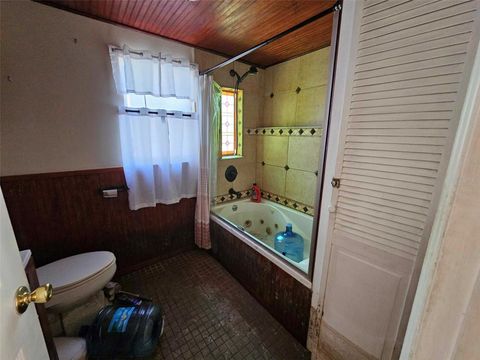 Single Family Residence in DADE CITY FL 32348 MARCHMONT CIRCLE 48.jpg