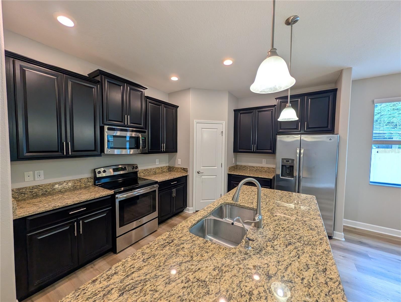 19255 Alexandrea Lee Ct, Land O Lakes, FL 34638 photo