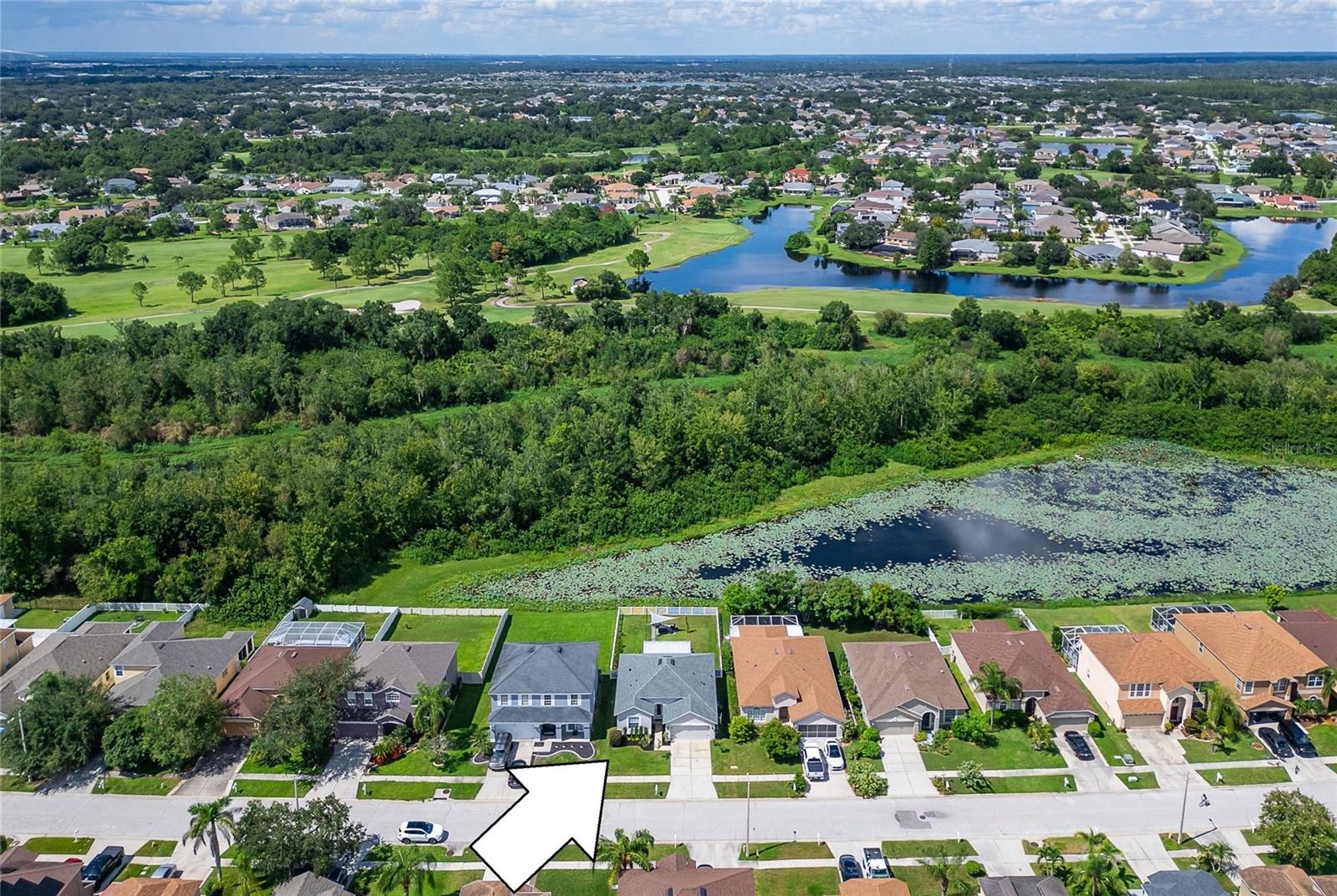 11313 Village Brook Dr, Riverview, FL 33579 photo