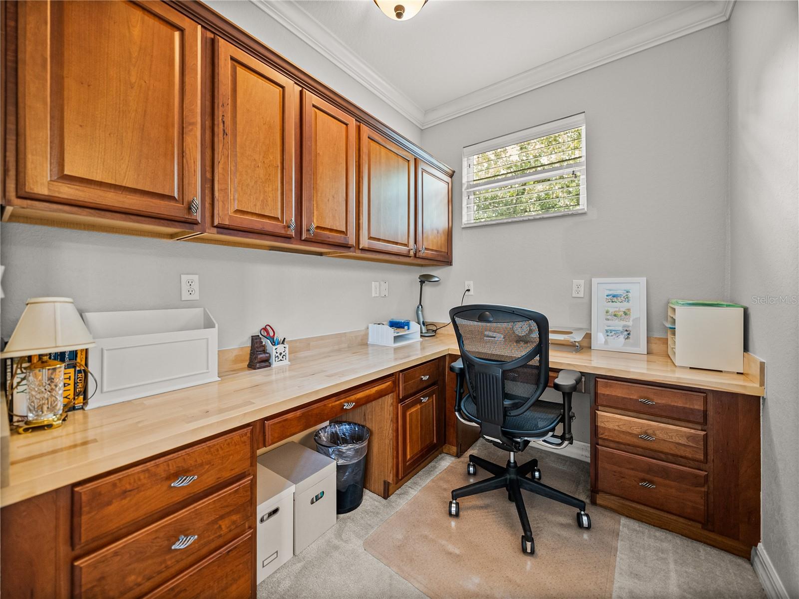 Townhouse in DADE CITY FL 13209 PALMILLA CIRCLE 57.jpg