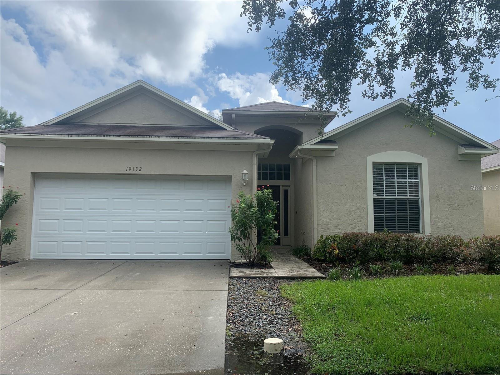 19132 Wood Sage Dr, Tampa, FL 33647