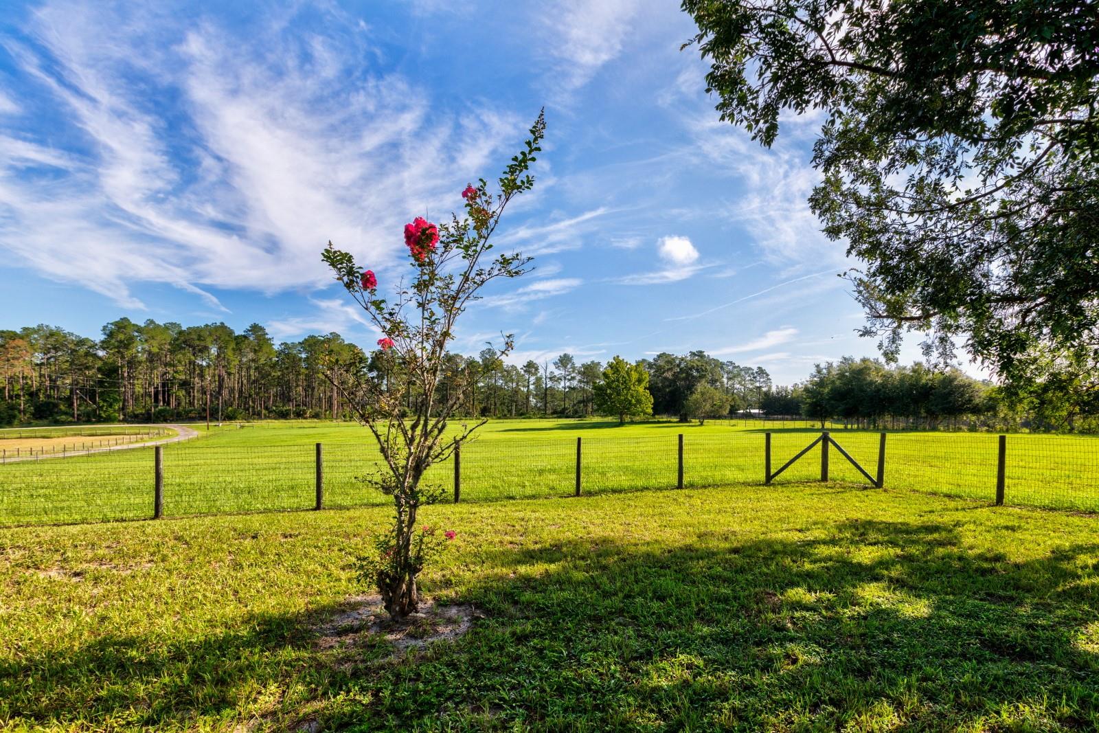 24948 Walkabout Ranch Road, Sorrento, FL 32776 photo
