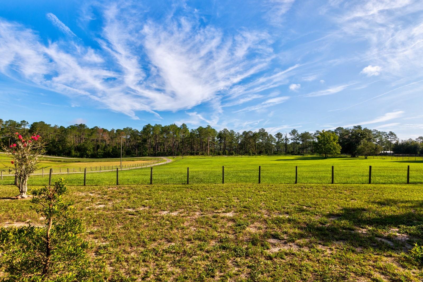 24948 Walkabout Ranch Road, Sorrento, FL 32776 photo