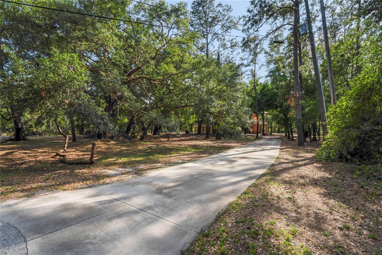 Single Family Residence in DADE CITY FL 3431 RIDERWOOD DR 60.jpg