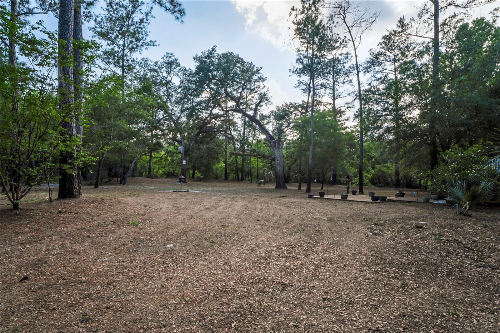 Single Family Residence in DADE CITY FL 3431 RIDERWOOD DR 64.jpg
