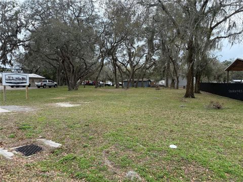  in LAKE PANASOFFKEE FL TBD COUNTY ROAD 470.jpg