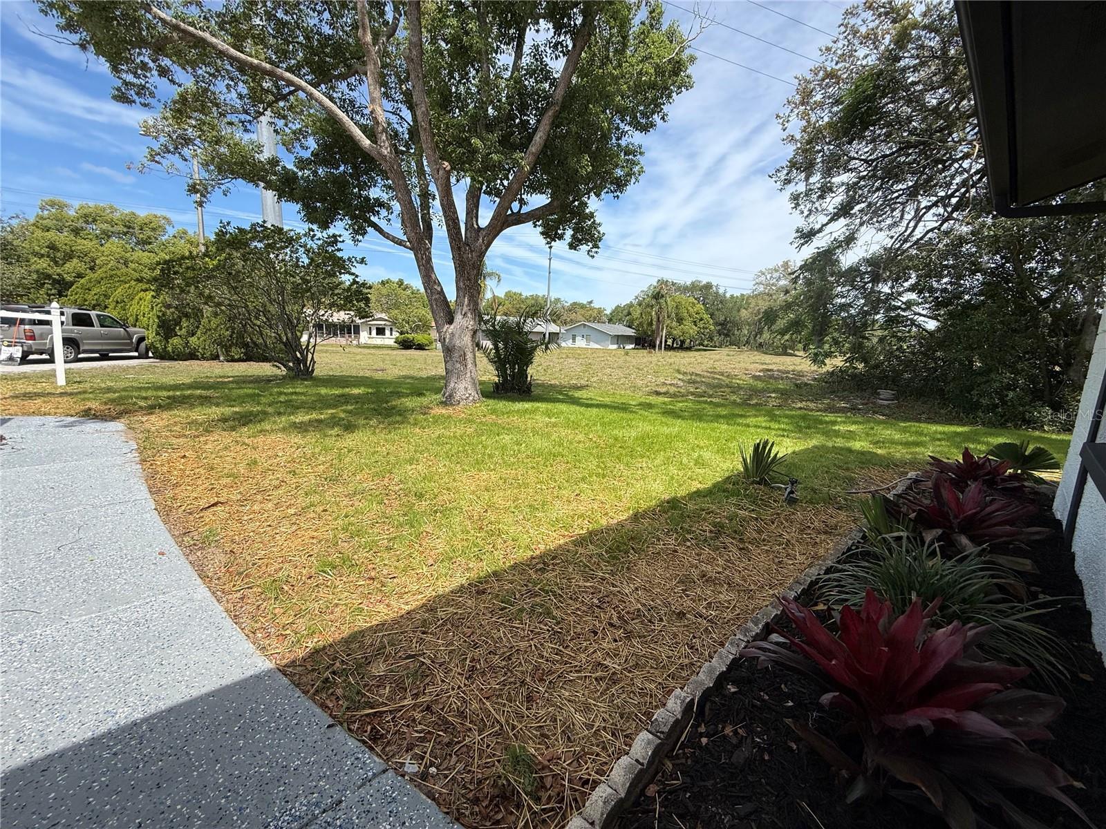10501 Hardwood Ct, Port Richey, FL 34668 photo